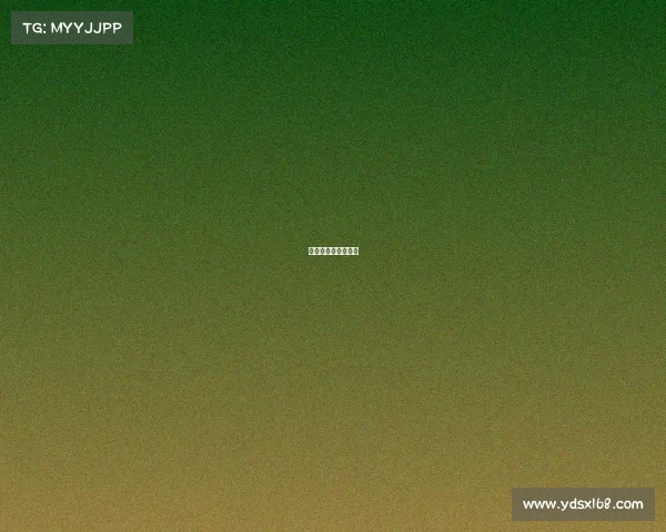 棒球赛事介绍怎么写